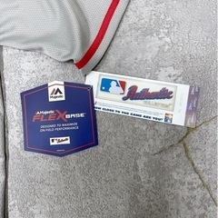 若井良一、【浅春千曲川】、希少な限定額装用画集画、新品高級額 額装