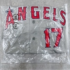 若井良一、【浅春千曲川】、希少な限定額装用画集画、新品高級額 額装