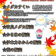 メダカ。ユリシス、ユリシス松井ヒレなが、ユリシスリアルロングフィ...