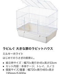 ウサギ飼育セット