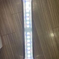 GEX  CLEAR LED  POWER Ⅲ  600