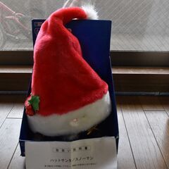 開封済み　動作確認済　クリスマスソングを歌いながら帽子を持ち上げ...