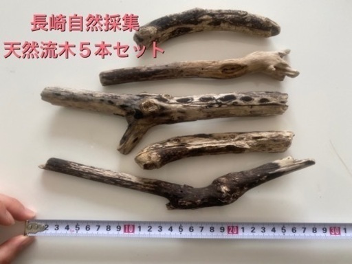 長崎海岸採集 天然流木まとめ売り 5本 ハンドメイドに