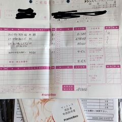 フランスベッド LT9900（セミダブル）とフレーム