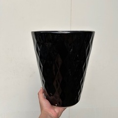 黒の鉢
