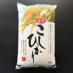 新米 香取市産 コシヒカリ精米10kg