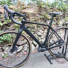 2020 TREK DOMANE SL6　サイズ54　トレック ドマーネ