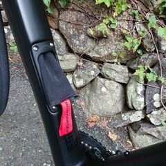 2020 TREK DOMANE SL6　サイズ54　トレック ドマーネ