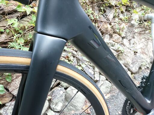 2020 TREK DOMANE SL6 サイズ54 トレック ドマーネ