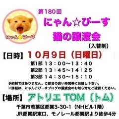 10月9日(日)🌸にゃん☆ぴーす猫の譲渡会🌸「アトリエTOM」J...