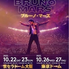 【ネット決済・配送可】ブルーノマーズ　Bruno Mars VI...