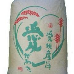 4年度10月収穫、ヒノヒカリ玄米30キロ税込 