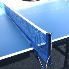 10/16販売済】国際規格 IGNIO 卓球台 セパレートタイプ キャスター付き