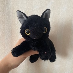 AKIO WATANABE の黒猫ぬいぐるみ
