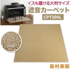 【定価18,500円】EMUL CPT300L 電子ピアノ用 防...