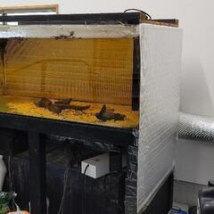 大型アクリル水槽