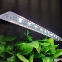 水槽用LED照明 テトラ LED ミニエコライト60