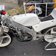 【ネット決済】TZ125