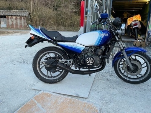 rz250