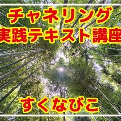 ★チャネリング実践方法を教えます★すくなびこの画像