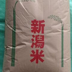 令和三年産コシヒカリ30kg/特別栽培米(玄米)/冷蔵庫保管