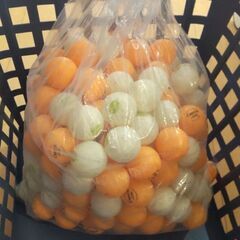 只今商談中：【動作問題？で値下】フルセット3万　折畳式卓球台と自動球出し機（ロボホン1040）有償で譲ります
