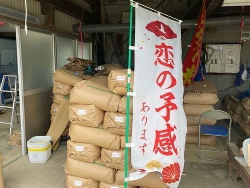 令和４年産　恋の予感　玄米　30㎏