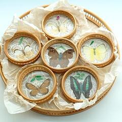 【値下げ】レトロ 竹工芸品 コースター6個とトレーのセット 蝶々...