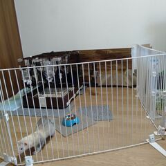 小動物　ケージ＋ペットフェンス（高/白）×４＋ペットフェンス（低/茶）×１