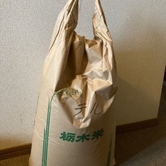 お米　30kg  令和3年度玄米　栃木の星　