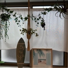 【写真に映ってるもの】カフェカーテン 一式 観葉植物 ハワイ