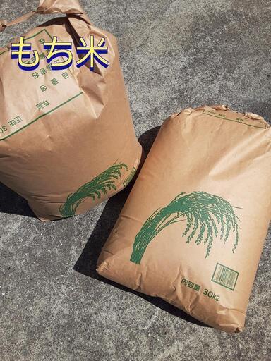新米 もち米(ヒヨクモチ) 玄米 30kg 2024年産