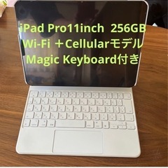 iPad Pro11 inch第3世代256GB Cellular