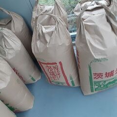 残6袋→3袋　30kg 玄米　お米　令和4年茨城産