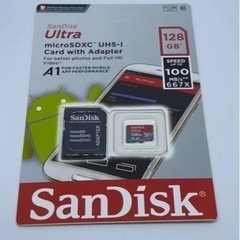 【ネット決済・配送可】SanDisk switch利用可能 マイ...