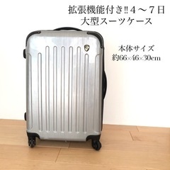 【取引中】大型スーツケース4ー7日　グリフィンランド　シルバー系...