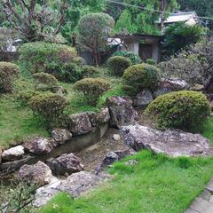 高知県内お庭のお手入れ承ります！植木剪定、草刈り、伐採、お…