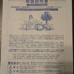 折り畳み自転車（ビーニー・ブラック）