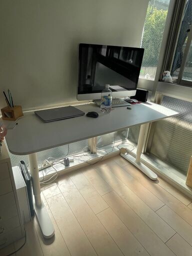 机 IKEA extending desk