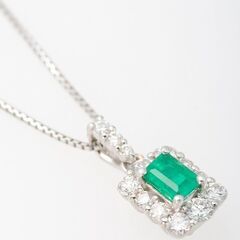 ダドレア ブリトニー 仙女盃 種子 1000粒 未開封 ケーレス 発芽