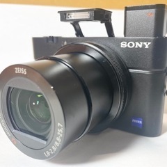 GM541  SONY Cyber−Shot RX DSC-RX...