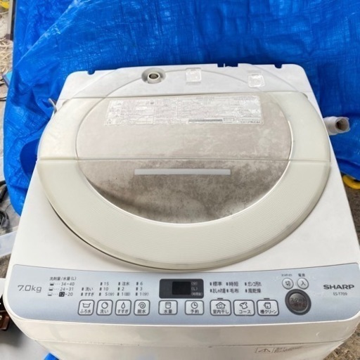 シャープヤマダ電機オリジナルモデル全自動洗濯機（7kg）