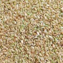 令和4年　ヒノヒカリ　くず米　玄米　30キロ　  加工、鳥や家畜...