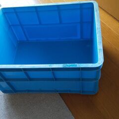 水替え用青箱２箱 おまけ付き(赤貝）