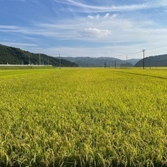 【新米】令和5年宮城県登米市産ひとめぼれ　玄米30kg