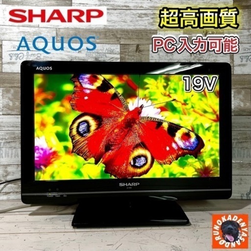 日本最大の 【すぐ見れる‼️】SHARP 配送無料 19型✨ 薄型テレビ AQUOS 液晶テレビ