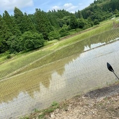 令和4年　☆新米ヒノヒカリ☆玄米30k☆