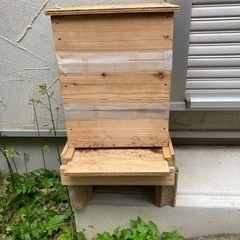 練馬区近郊で日本ミツバチの飼育箱を置く場所を貸していただきたい