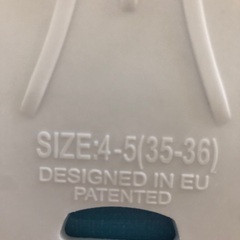 リーダーフィンズ