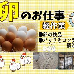 【軽作業♪】卵の検品〈北見〉